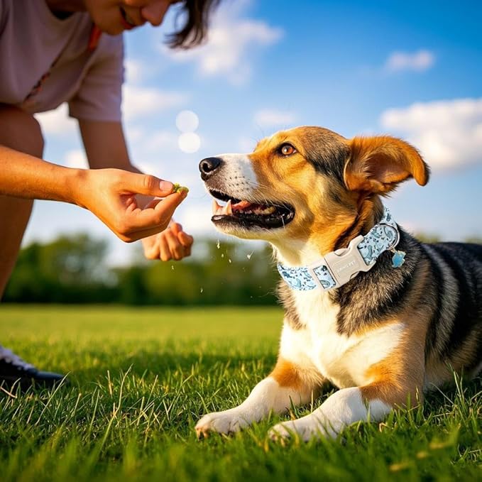 ARING PET Dinosaur Dog Collar, Blue Summer Pet Collars with Quick Release Buckle for Puppy Small Medium Large Boy Girl Dogs-XS