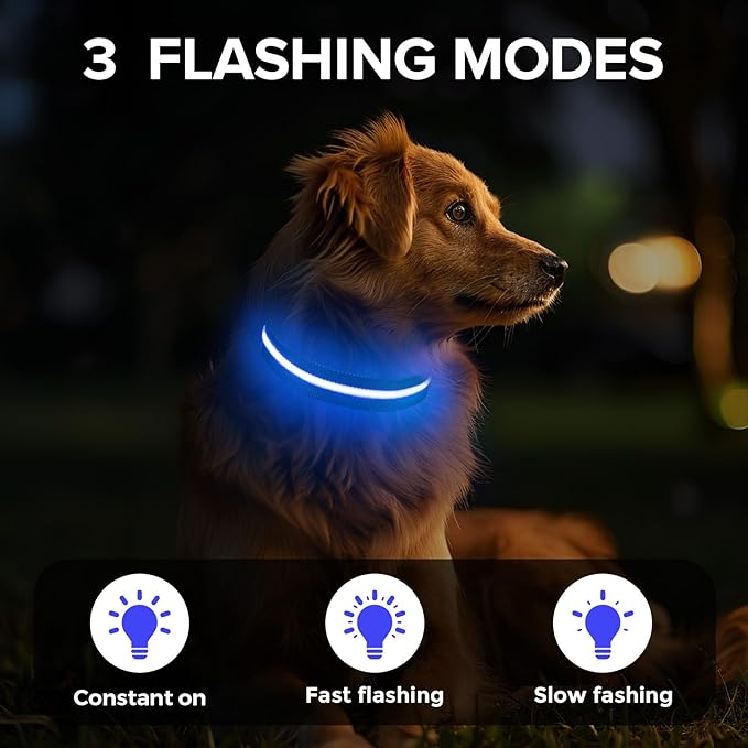 Light Up Dog Collar, Adjustable USB Rechargeable Glow in Dark Dog Collar ，Waterproof Dog Collars for Small Dogs (Blue, Small)