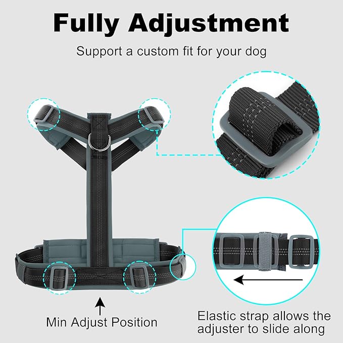 Plutus Pet No Pull Dog Harness, Adjustable Nylon Harness with Soft Padding, Reflective and Heavy Duty Dog Harness for Small, Medium, Large Dogs(Black, XL)