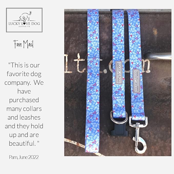 Lucky Love Dog - Adjustable Dog Collar with Easy Click Buckle for Small to Large Ones, Durable, & Comfortable for Male & Female Dogs, Pet Collar for Puppies & Adult Dogs - Winterblue, Small