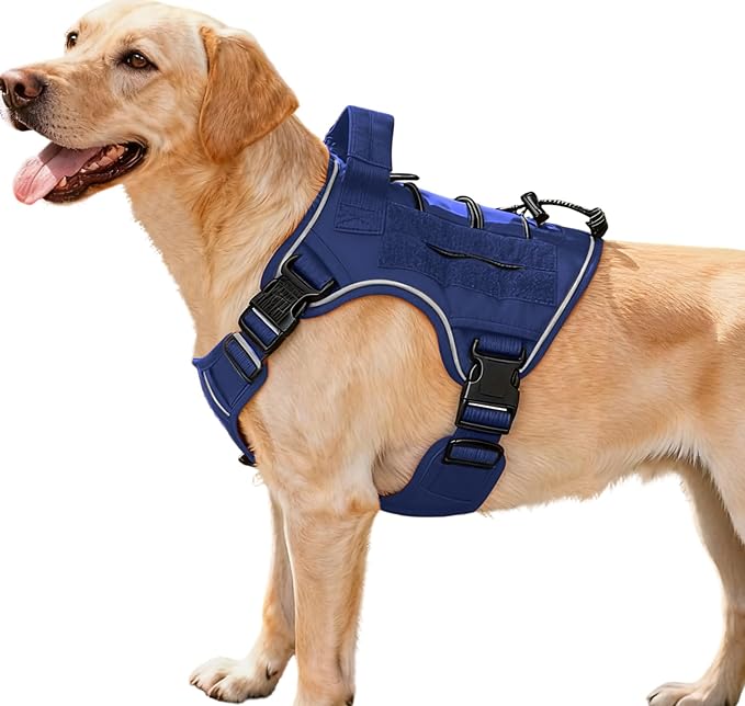 Heavy-Duty Tactical Dog Harness for Large Dogs, No Pull Adjustable Reflective Pet Vest with Molle System, K9 Military-Grade Control for Service Training, Outdoor & 10+ Breeds, Dazzling Blue, Medium