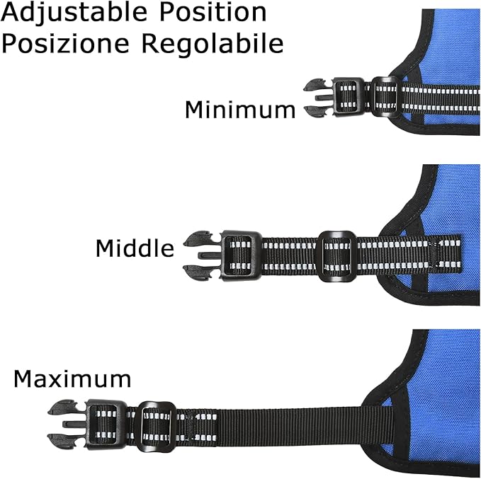 HEELE Dog Harness, No Pull Adjustable Padded Reflective Harness for Small Medium Large Dogs with Handle for Walking Training, Blue, XL