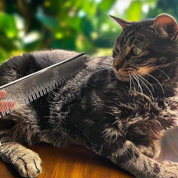 Warren London Carding Cat Comb | 7.5 inches made with Copper | Rounded Tips Prevent Irritation | Dual Tooth Design for Short & Long Hair removes Mats and Tangles