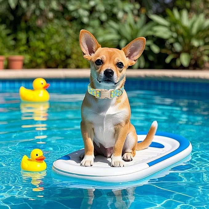 DOGWONG Duck Cotton Dog Collar, Summer Cute Dog Collar Durable Soft Beachy Pet Dog Collars Puppy Necklace for Small Medium Large Dogs