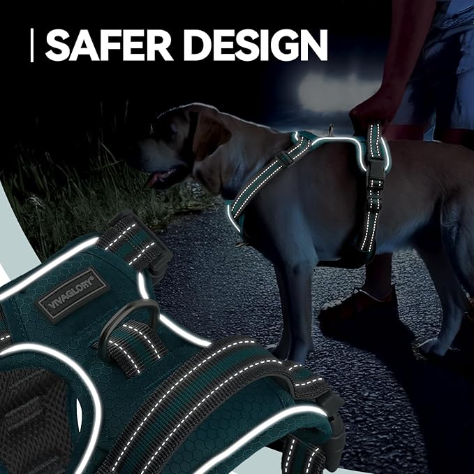 VIVAGLORY Dog Harness Easewalk No Pull Dog Harness with Handle & Front Back Clip for Training Lifting, Easy On Adjustable Padded No Pull for Pet & Puppy, M, Hunter Teal