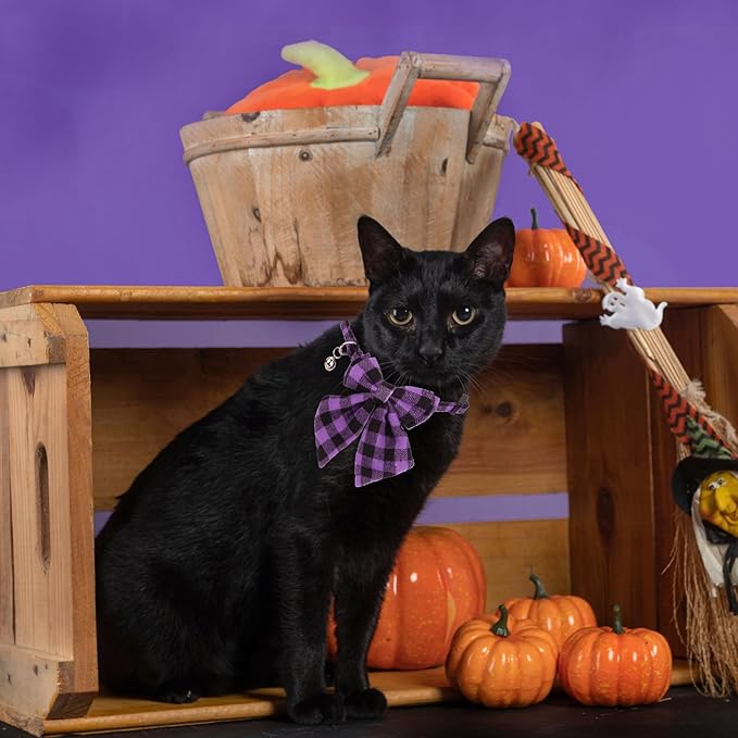 ADOGGYGO Halloween Cat Collars with Removable Bow Bell, 2 Pack Orange Purple Plaid Halloween Bowtie Collar for Cats Kittens