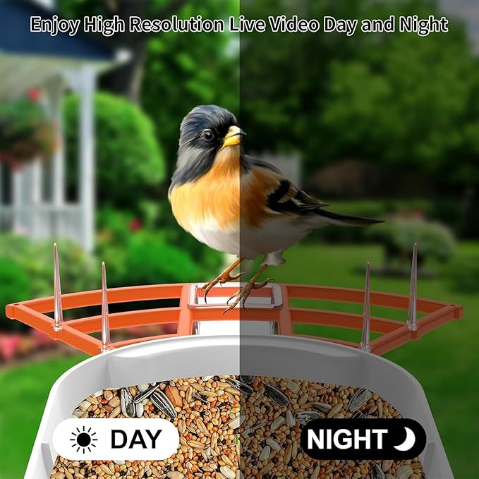 Bird Feeder with Camera,AI Identify Birds Species,Smart Birds Camera with Solar Powered,Auto Record FHD Feather Visitor Video in Backyard,Garden,Instant Notifications,Ideal Gifts for Family,Orange
