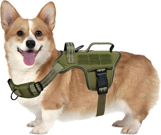 Small Dog Harness, Heavy Duty Tactical No Pull Dog Harness, No Choke, Easy On and Off Pet Vest with Molle System, Adjustable Reflective Dog Vest with Breathable Padded for Walking Hiking Training