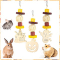 Abizoo Halloween Guinea Pig Chew Toys,3 Pcs Rabbit Toys Hamster Bunny Treats Wood for Chinchilla Rat Chew Toys Hanging Halloween Themed Decor Cage Accessories for Small Animals Teeth Enrichment Gifts