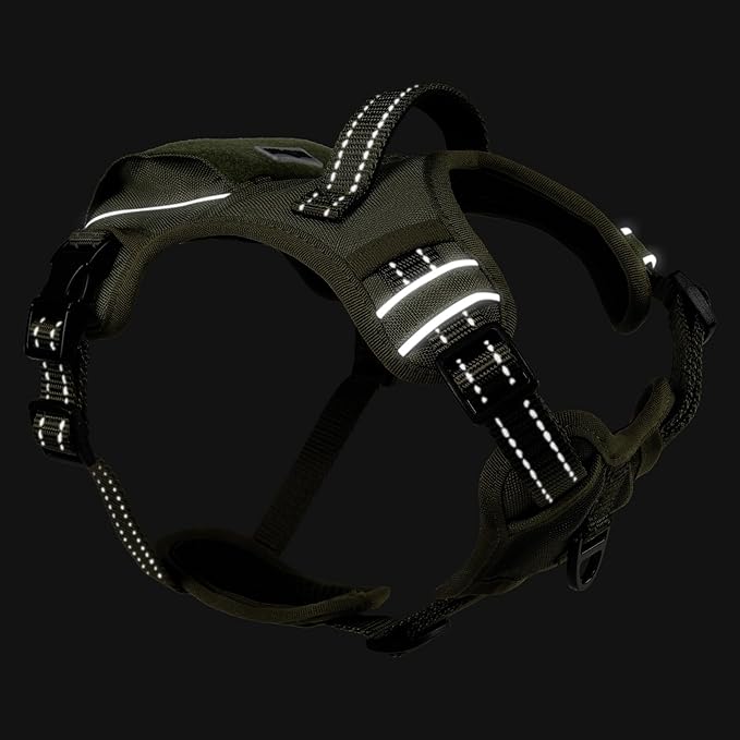 No Pull Dog Harness Medium Sized Dog for Service, Easy Walk, Training - Adjustable Reflective Dog Vest with Handle Easy Control - No Choke Metal Buckled Pet Harnesses (Green, Medium)