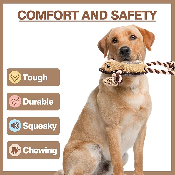 Tough Durable Squeaky Dog Toys for chewers Interactive to Keep Them Busy, Funny Tug of War Dogs Toy for Small Medium Large Cute Birthday Gift (New Frog)