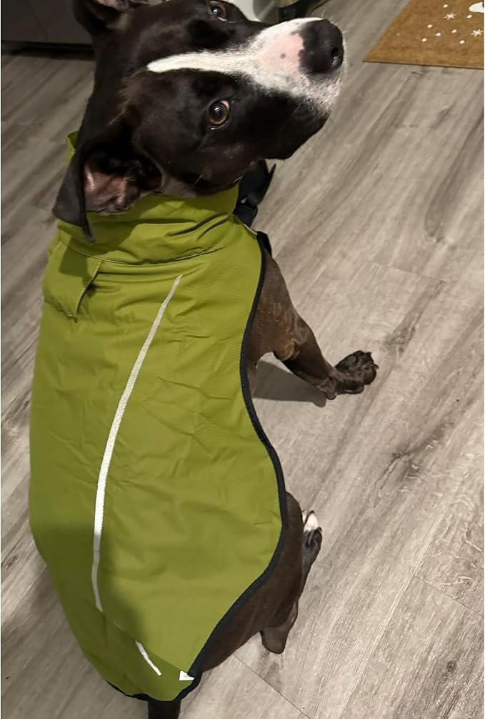 Mile High Life Dog Raincoat, Adjustable Waterproof Reflective Rain Jacket for Small Medium Large Dogs, Lightweight Breathable Pet Rain Coat with Leash Hole(Lime Yellow,XS Chest 17-23")