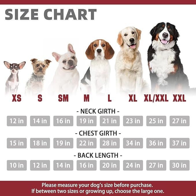 KOOLTAIL Basic Dog Hoodie - Soft and Warm Dog Hoodie Sweater with Leash Hole and Pocket, Pet Winter Coat, Cold Weather Clothes Sweatshirt for Small Medium Large Dogs Puppy Cat Boys Girls XL/XXL