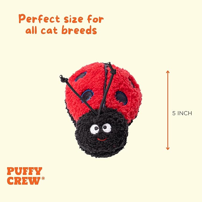 Interactive Catnip Cat Plush Toy, Insect Theme, 5'', for All Breed Size Cats (Ladybug)