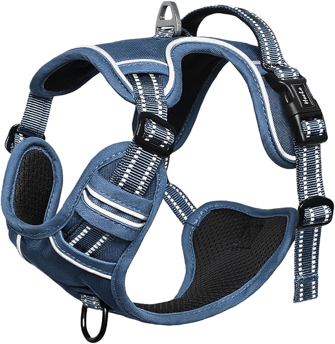 HEELE Dog Harness for Small Dogs No Pull Dog Vest Harness for Small Dog with Soft Padded Handle Reflective for Outdoor Training, Royal Blue, S