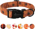 ARING PET Fall Dog Collar-Cute Orange Dog Collar for Small Dogs, Cotton Lightweight Dog Collars with Quick Release Buckle for Small Medium Large Dogs