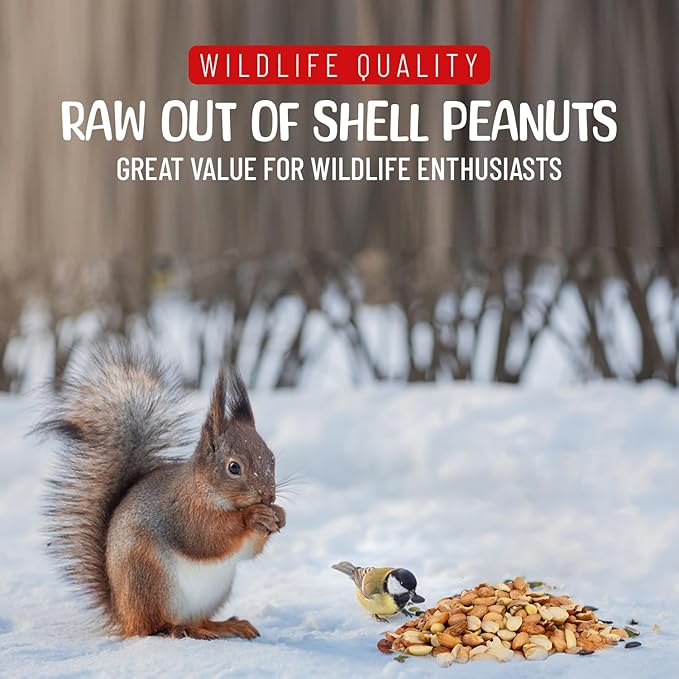 Premium Quality Raw Out of Shell Peanuts for Wildlife - 45 Pounds - Shelled Peanuts- Grown in The USA, for Squirrels, Deer, Birds