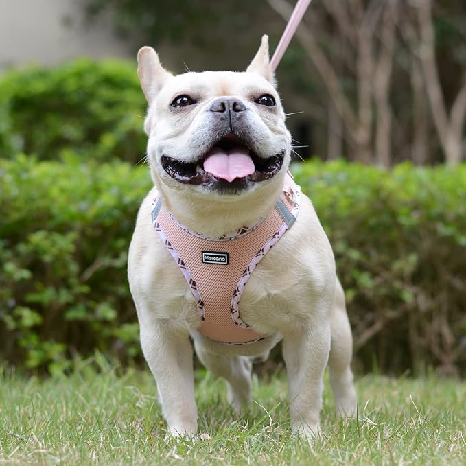 Mercano Soft Mesh Dog Harness and Leash Set, No-Chock Step-in Reflective Breathable Lightweight Easy Walk Vest Harnesses with Safety Buckle for Small Dogs, Cats (Champagne, XS)