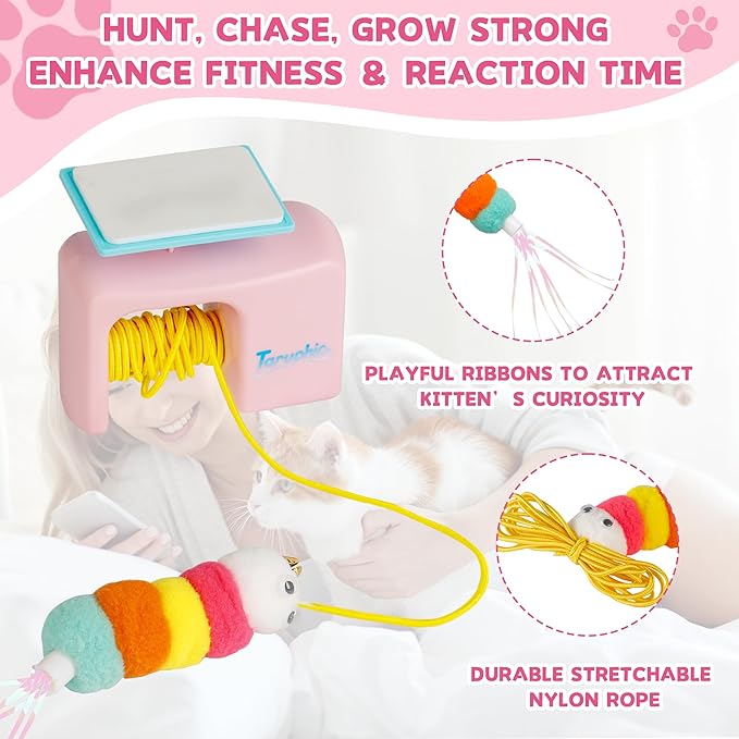 Interactive Cat Toy for Indoor Cat,Automatic Door Hanging Cat Toy with Detachable Design,Kitten Toys for Indoor Cats Self Play,3.27 * 1.69 * 2.76Inch