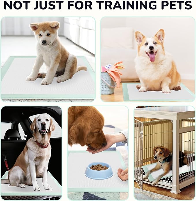 Puppy Pee Pads 100PCS Disposable Pet Toilet Training Pads 18" x 13" for Dogs, Ultra Absorbent|Quick Dry|Leak-Proof Pet Potty Pads for Dog, Cat, Rabbits and Guinea Pigs (Green)