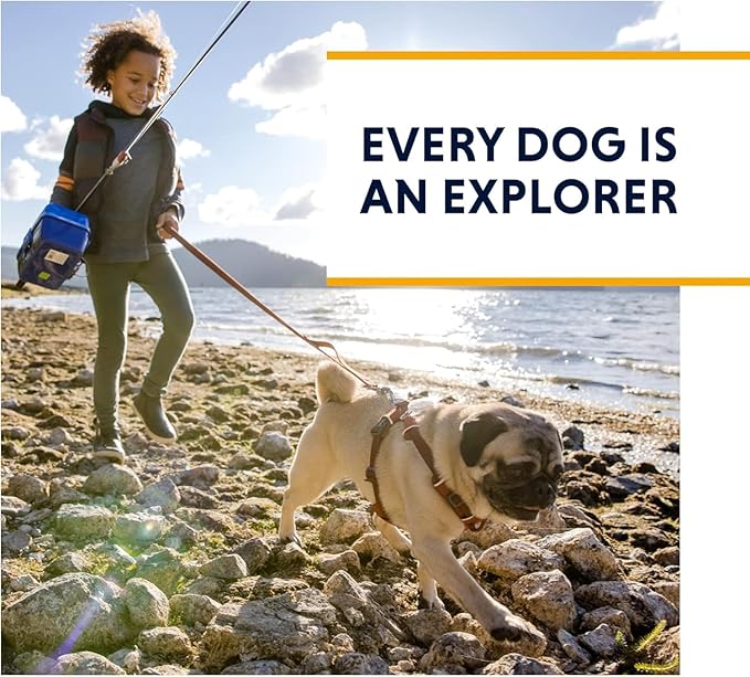 Ruffwear, Front Range Dog Harness, Reflective Soft Padded Everyday Harness with Dual Leash Clips, Adjustable and Lightweight Fit for Training or Walking for All Dogs, Red Clay, X-Small