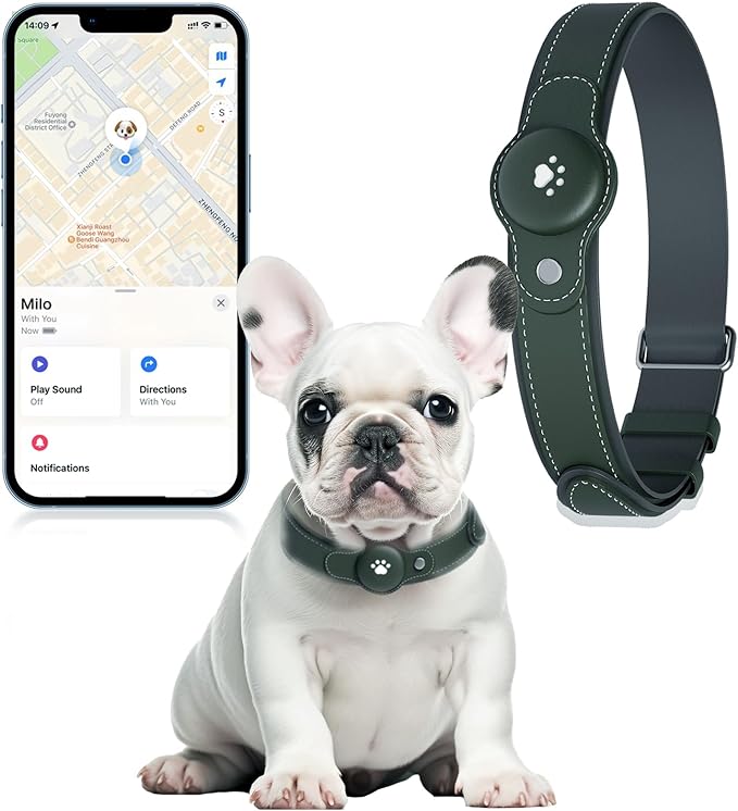 BONSO 2-in-1 GPS Tracker for Dogs: Smart Collar with Real-Time Location, No Monthly Fee, Unlimited Range (iOS Only) GPS Tracker Dog Collar- Ideal for Small, Medium Large Dogs(Tracker Included)(Green)