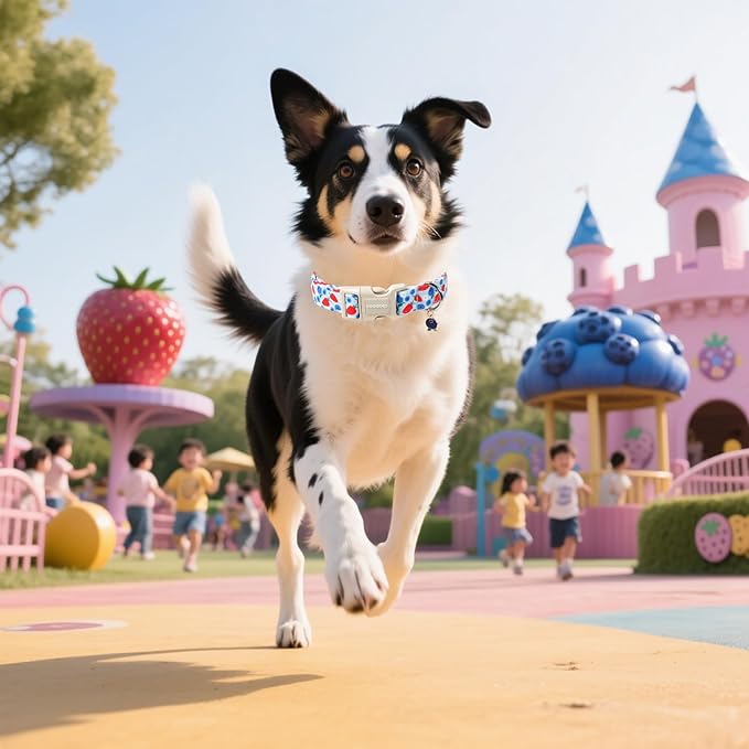 DOGWONG Strawberry Dog Collar, Blue Dog Collars Blueberry Adjustable Cute Pet Collars Girl Design Dog Collar for Small Medium Large Dogs