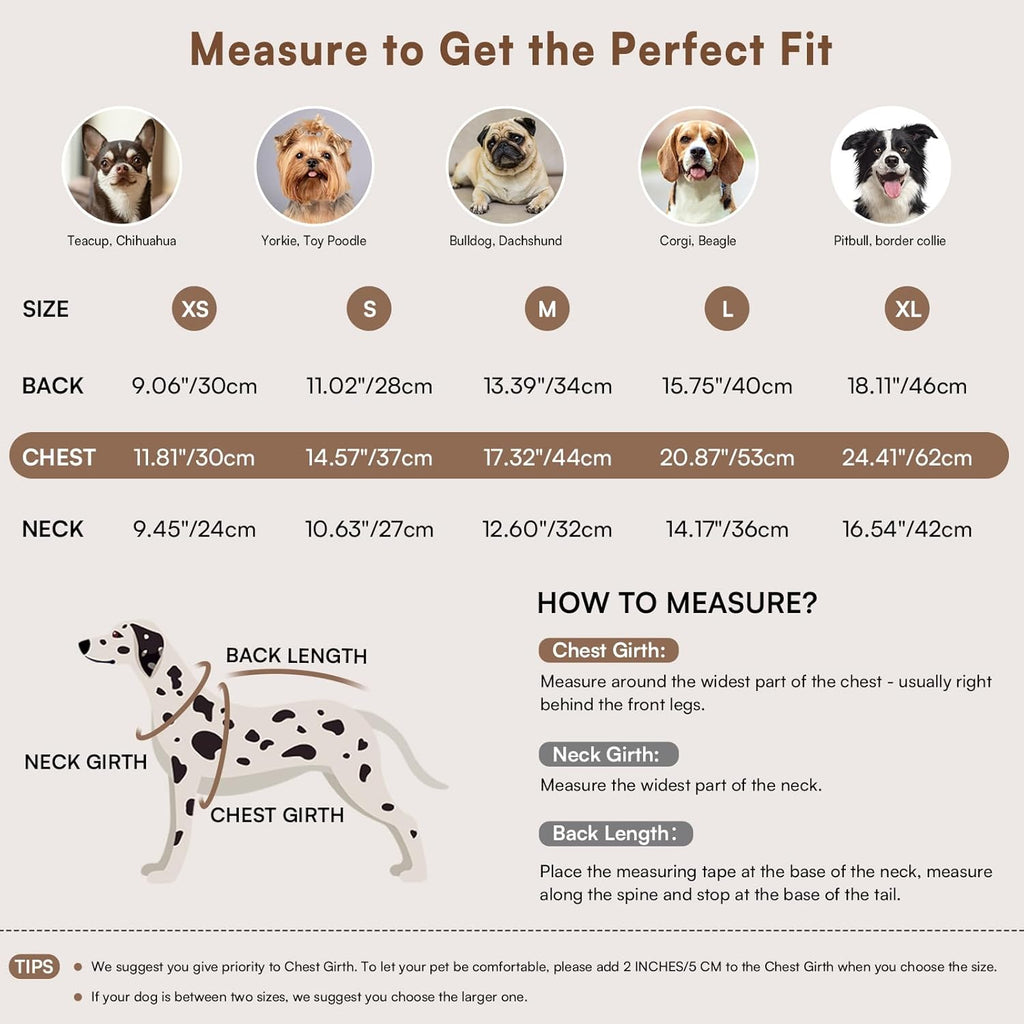 Queenmore Warm Dog Sweater, Soft Pet Knitwear, Knitted Pullover, Winter Pet Clothes for Small Medium Dogs Cats