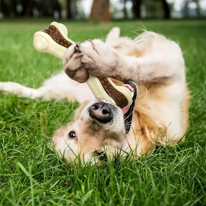 Sosation 6 Pcs Dog Toys for Aggressive Chewers Nylon Beef Flavor Bones Tough Puppy Teething Toys Puppy Chew Bones for Large Medium Small Breed Dogs Puppies Pets Chew Toys(Medium)