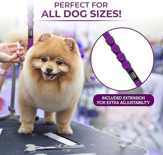 45" Dog Grooming Table with Set of 6 Grooming Loops for Dog Groomers Bundle - Adjustable Height Grooming Table 300lb, Dog Grooming Table Arm with Adjustable Dog Grooming Loops - Dog Grooming Supplies