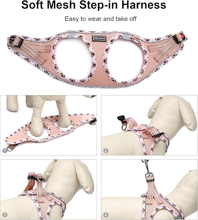 Mercano Soft Mesh Dog Harness and Leash Set, No-Chock Step-in Reflective Breathable Lightweight Easy Walk Vest Harnesses with Safety Buckle for Small Dogs, Cats (Champagne, XXS)