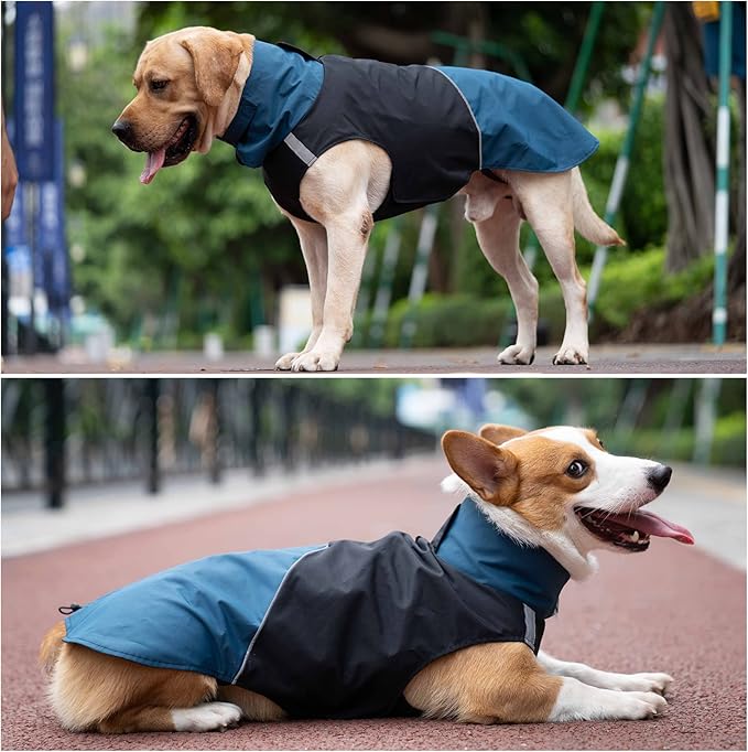 Windproof Dog Winter Jackets - Outdoor Coats for Cold Weather, Waterproof Raincoats with Leash Hole, Black Blue XXS