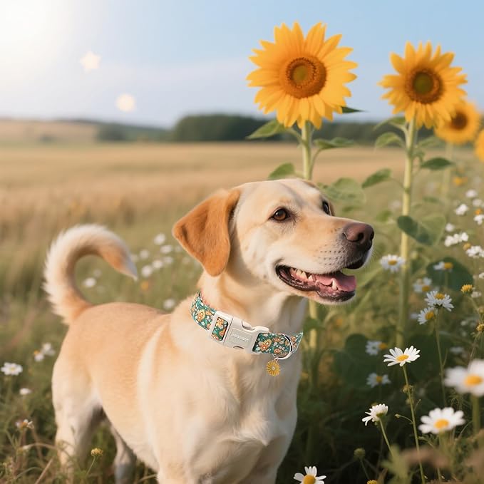 DOGWONG Flower Dog Collar, Fall Sunflower Dog Collars, Adjustable Cute Pet Collars Girl Design Dog Collar for Small Medium Large Dogs