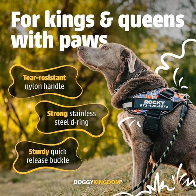 Personalized No-Pull Dog Harness with Name Patch, Adjustable, Reflective, Padded, Heavy Duty Pet Vest to Prevent Tugging, Pulling, or Choking, Training and Walking, Red, XL