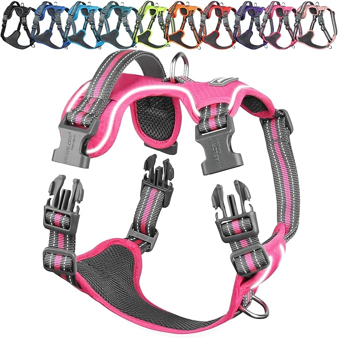 VIVAGLORY Dog Harness Easewalk No Pull Dog Harness with Handle & Front Back Clip for Training Lifting, Easy On Adjustable Padded No Pull for Pet & Puppy, XL, Pink