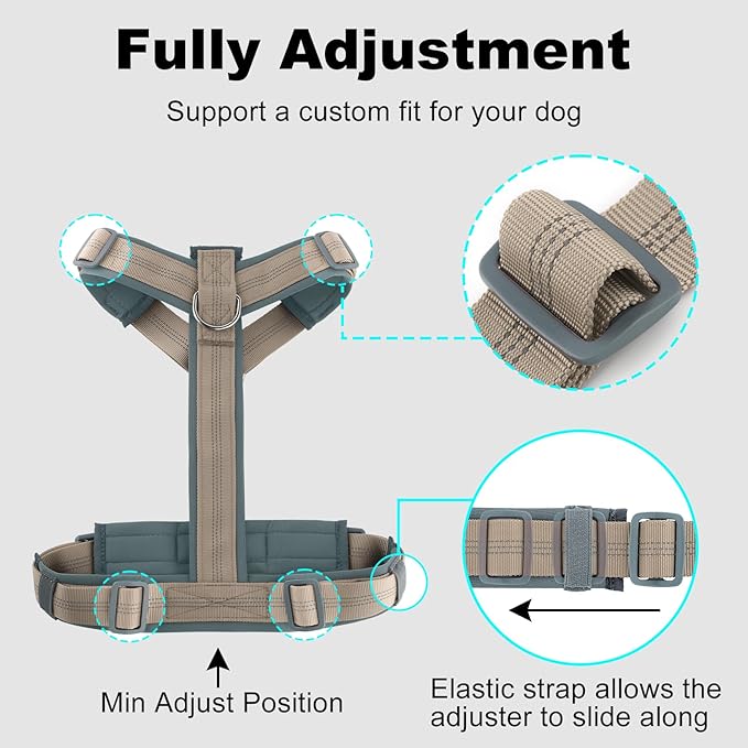 Plutus Pet No Pull Dog Harness, Adjustable Nylon Harness with Soft Padding, Reflective and Heavy Duty Dog Harness for Small, Medium, Large Dogs(Beige, XS)