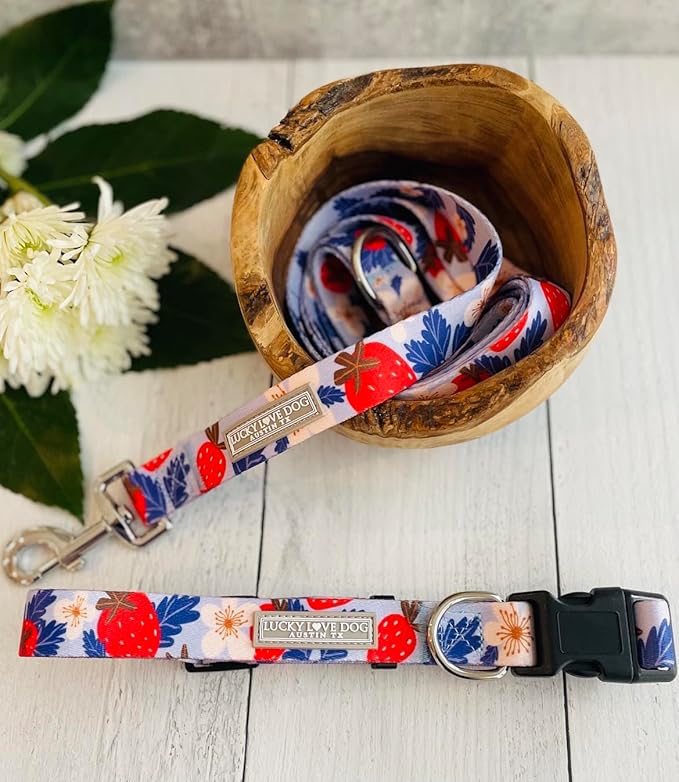 Lucky Love Dog - Easy Click Buckle Dog Collar with Leash Set Combo, Durable & Comfortable for Male & Female Dogs, Pet Collar for Small to Large Dogs, Secure Fit - Sweet Berry Combo, Large