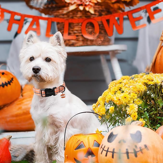 ARING PET Puppy Fall Dog Collar, Autumn Orange Black White Plaid Pet Collars for Small Medium Large Girl Boy Dogs Halloween-XS Size