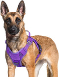 rabbitgoo Dog Harness for Large Dogs No Pull, Tactical Service Pet Vest with Molle and Control Handle, Adjustable and Reflective Military Harness for Easy Walking and Training, Purple, XL
