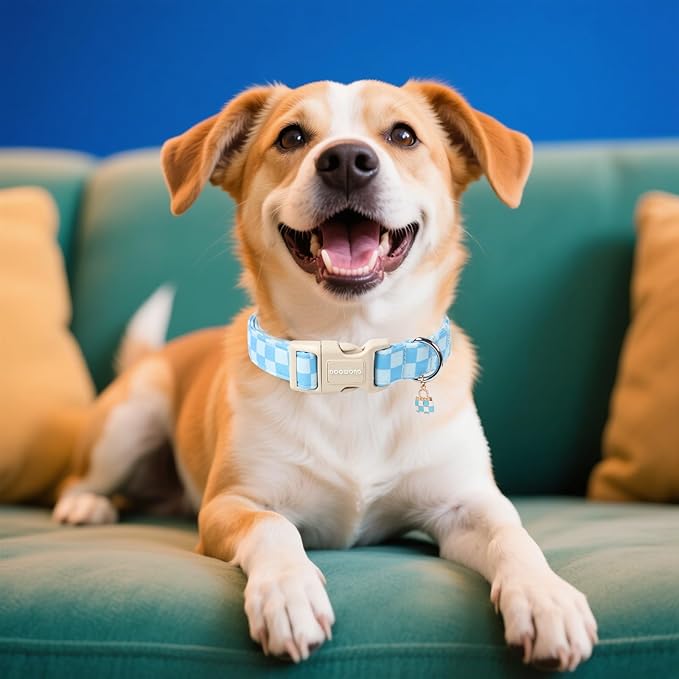 DOGWONG Blue Checkered Dog Collar, Blue Plaid Dog Collars, Adjustable Cute Boy Pet Collars Girl Design Dog Collar for Small Medium Large Dogs