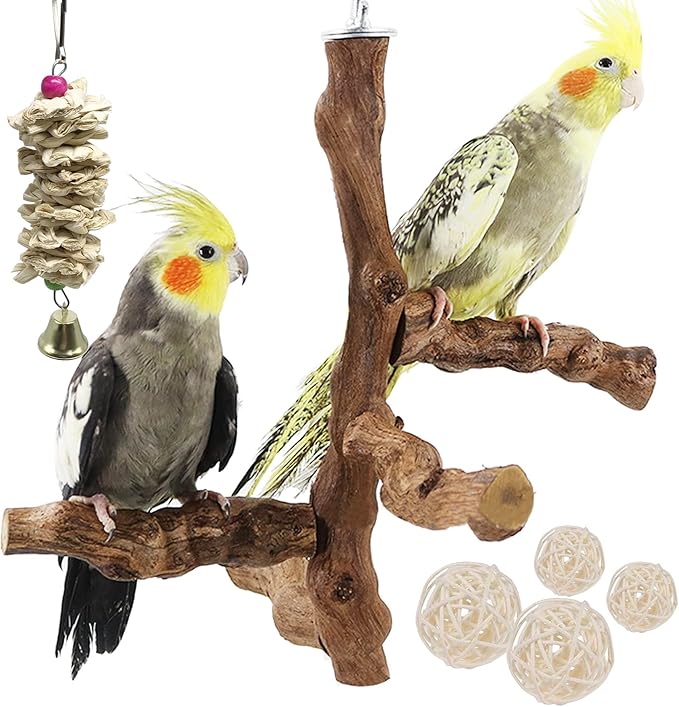 Allazone Bird Perch Natural with Chewing Toys Natural Grapevine Bird Stand Grape Stick Natural Bird Parrot Perch Standfor Parrots, Parakeets Cockatiels, Conures, Macaws, Love Birds (Style 1)