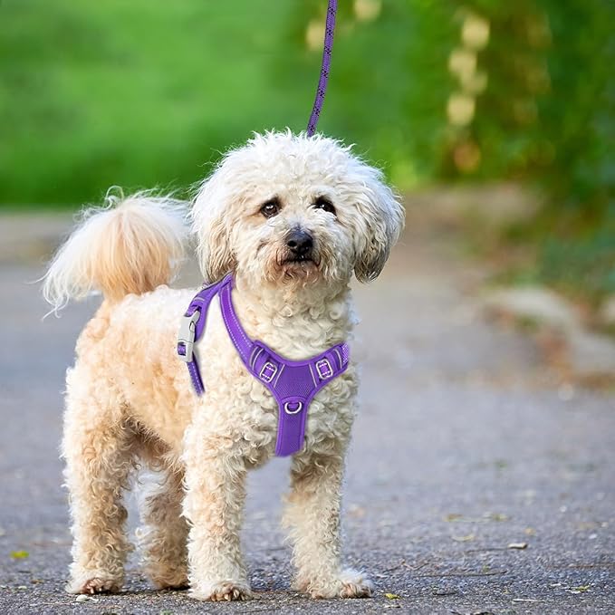 BARKBAY No Pull Dog Harness Large Reflective Dog Harness with Front Clip and Easy Control Handle for Walking Training Running with ID tag Pocket(Purple,XS)