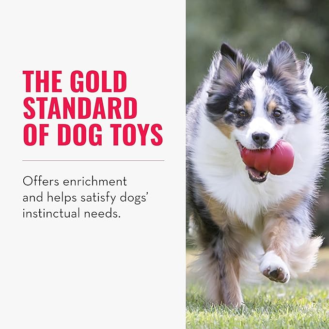 KONG Classic Stuffable Dog Toy - Fetch & Chew Toy for Dogs - Treat-Filling Capabilities & Erratic Bounce for Extended Play Time - Durable Natural Rubber Material - for Extra Large Dogs (Pack of 2)