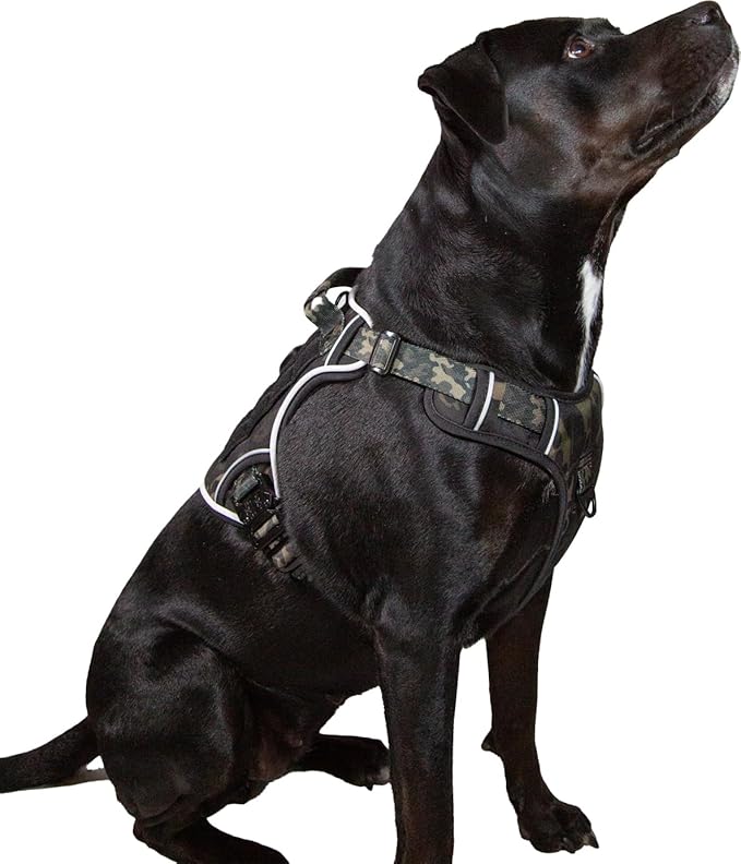 Ragnarok Multicam Black Tactical Dog Harness with LED Light, Durable Luxury Vets, MOLLE Panels, Service Dog Vest Small, Medium, XL, XXL Dogs