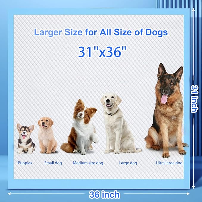 Extra Large Dog Pee Pads, 60 Pads 31"x36" Disposable Training Pads, Puppy Pads with high Absorbency and Leak-Proof Protection for House Training Cats,Rabbits,Dogs Leak-Proof Dog Pee Pads Extra Large