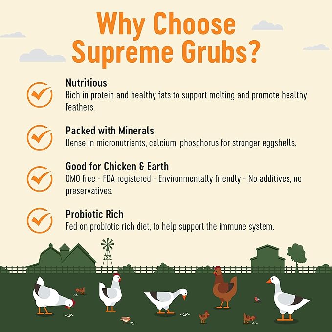 Natural Black Soldier Fly Larvae for Chickens, 85X More Calcium Than Mealworms-High Protein Grub Food Chicken Treats for Hens, Probiotic-Rich Chicken Feed, Calcium-Dense Bird Treat 5lb