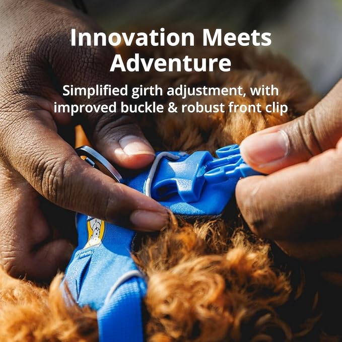 Ruffwear, Front Range Dog Harness, Reflective Soft Padded Everyday Harness with Dual Leash Clips, Adjustable and Lightweight Fit for Training or Walking for All Dogs, Blue Pool, Small