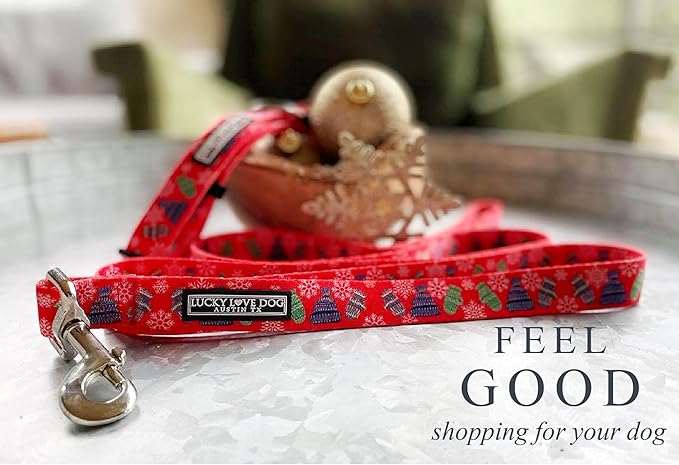 Lucky Love Dog, Winter Stocking Caps and Mittens Dog Collar and Leash Set, Matching Snowflakes Collar and Leash for Male and Female Dogs - (Small, Chilly Combo)