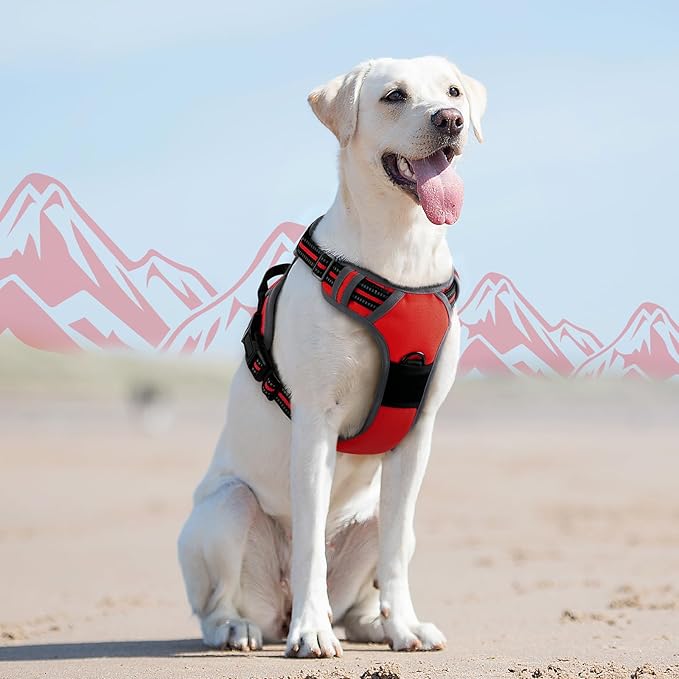 Eagloo Dog Harness for Large Dogs, No Pull Service Vest with Reflective Strips and Control Handle, Adjustable and Comfortable for Easy Walking, No Choke Pet Harness with 2 Metal Rings, Red, L