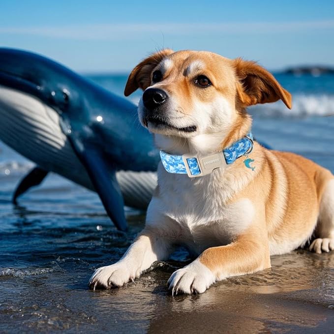 DOGWONG Whale Cotton Dog Collar, Summer Cute Shark Dog Collar Durable Soft Fabric Male Pet Dog Collars Boy Puppy Necklace for Small Medium Large Dogs